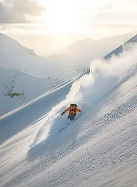 freeride.270x370.jpg